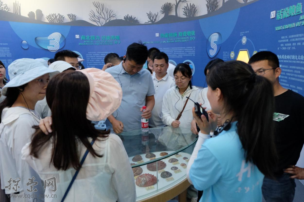 43e341687df34889847116fa544563d8.png 43e341687df34889847116fa544563d8.png